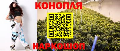 бошки Владимир