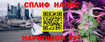 mdpv Брянск