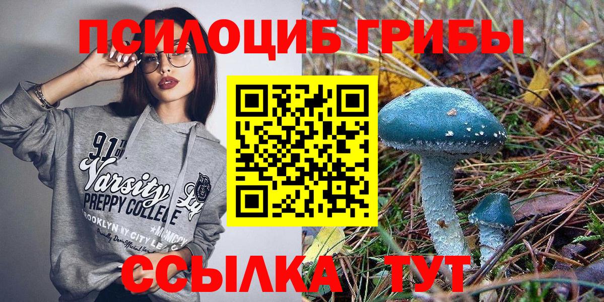 Псилоцибиновые грибы GOLDEN TEACHER Калининград