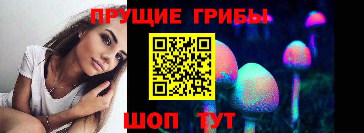 Калининград  Псилоцибиновые грибы мухоморы  Вход с VPN 